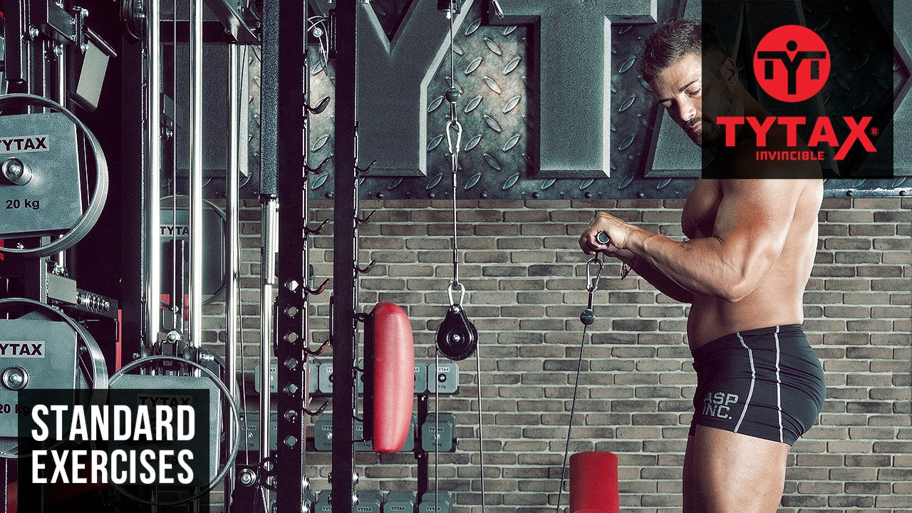 Kabelzug-Curl Reverse