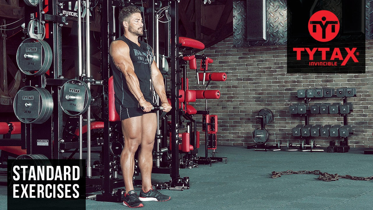 Trizepsdrücken Kabelzug