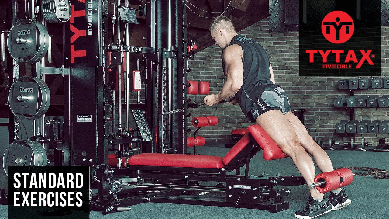 Roman Chair Cable Back Extension