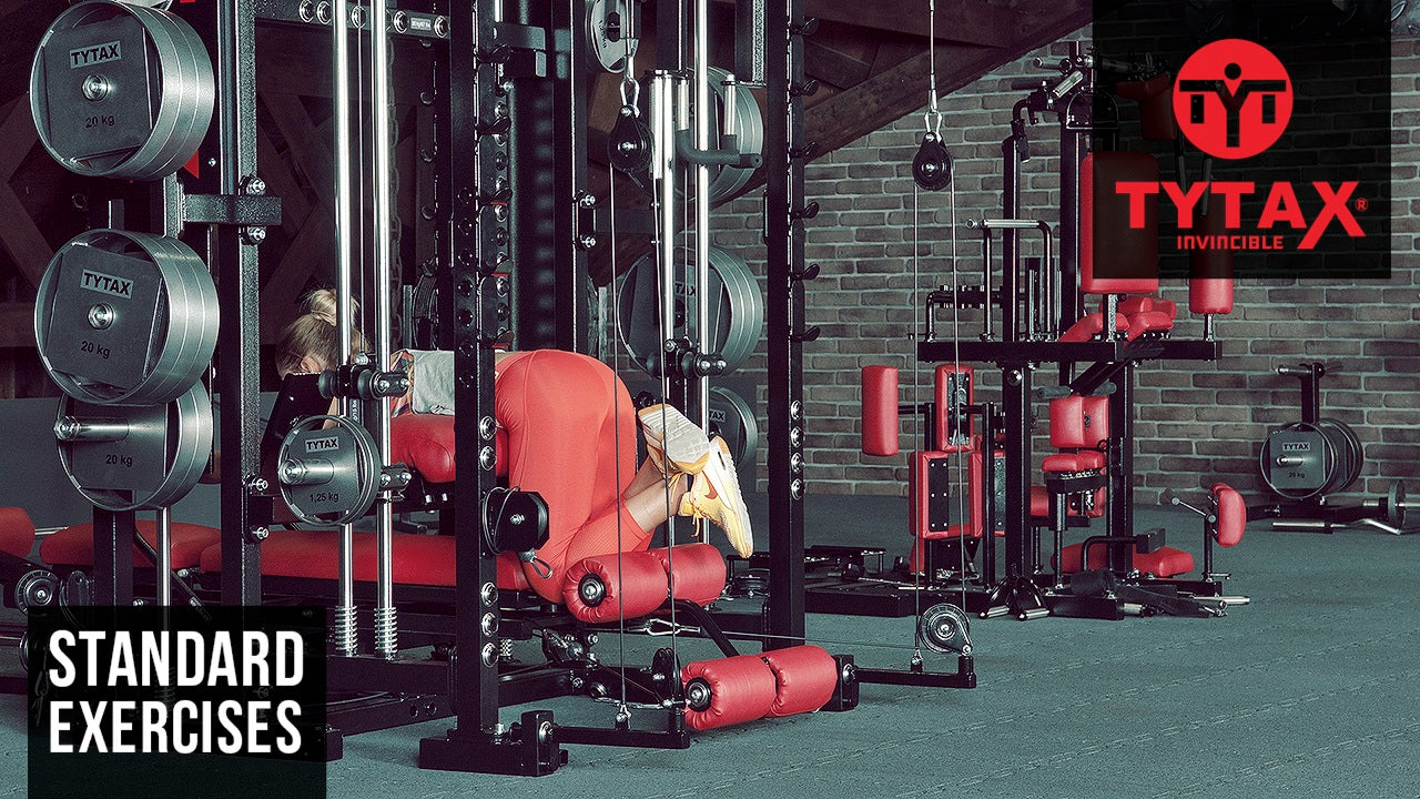 Seated Sled Leg Curl