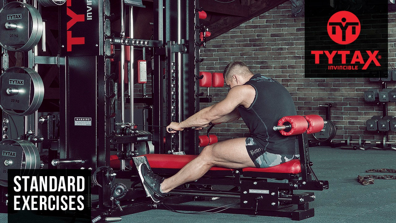 Seated Cable Back Extension