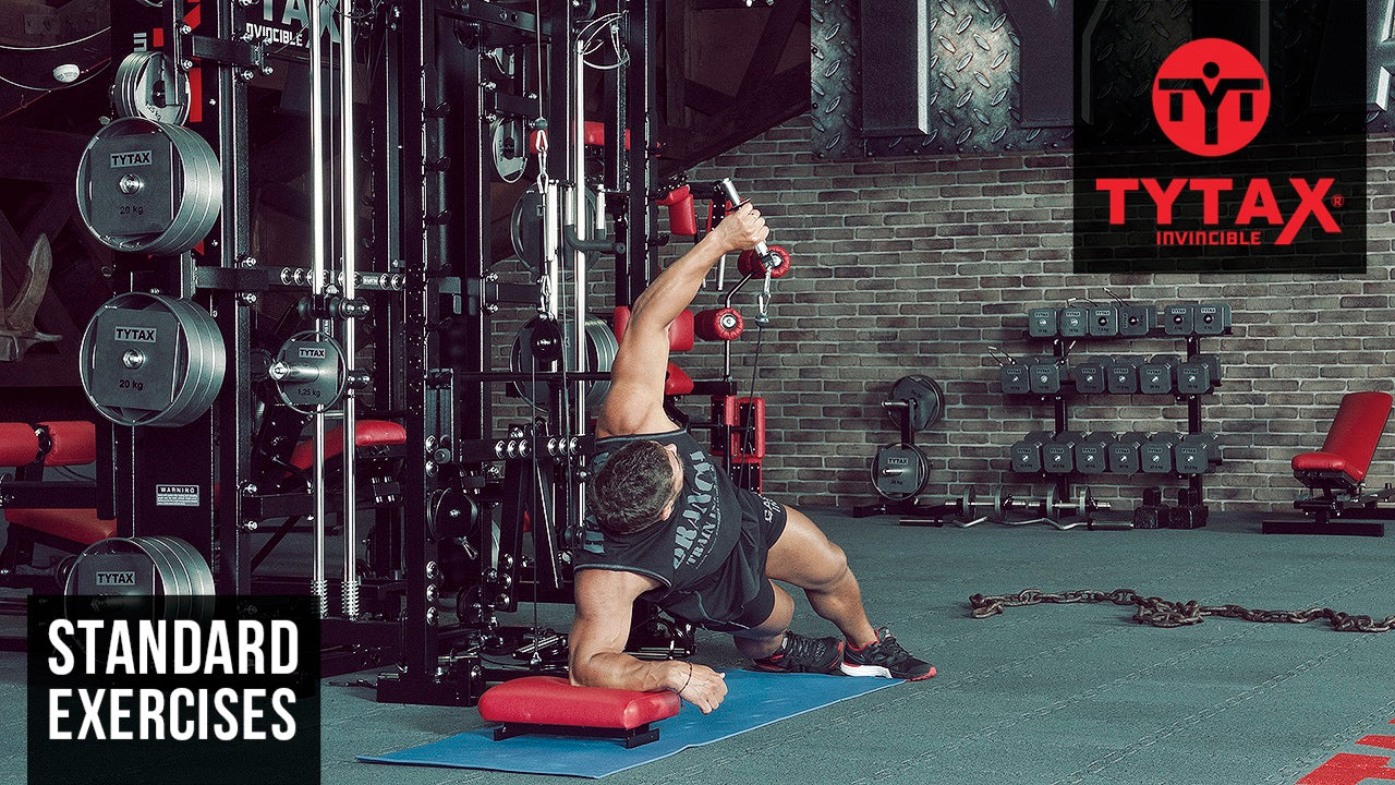 Side Bridge Low Cable Hammer Row