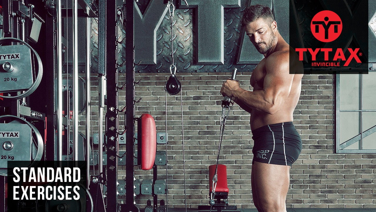 Standing Cable Hammer Curl