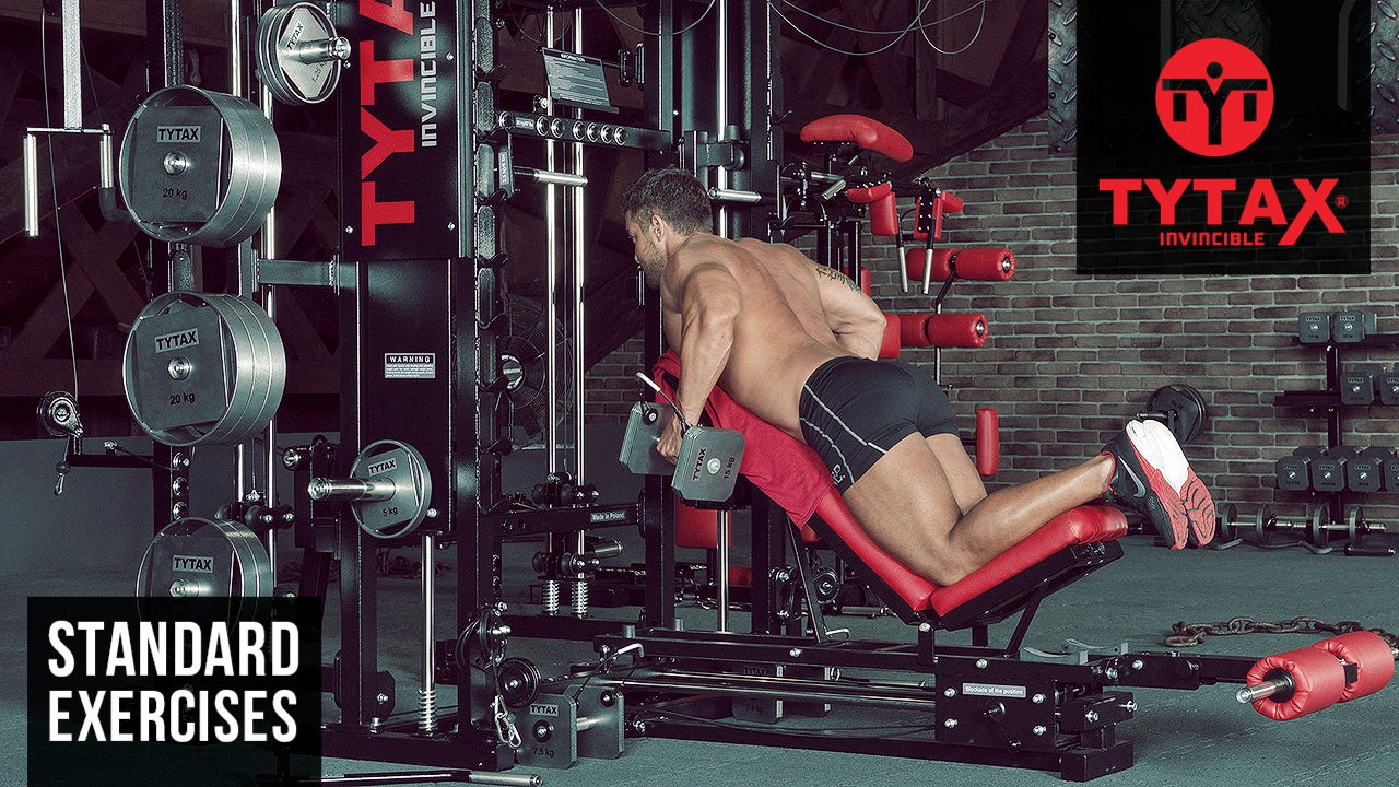 Prone Incline Dumbbell Reverse Raise