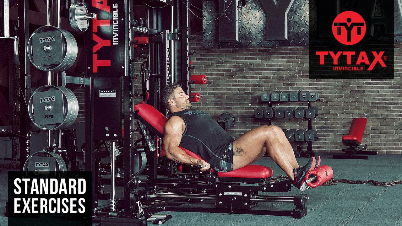 Sled Reverse Grip Incline Row