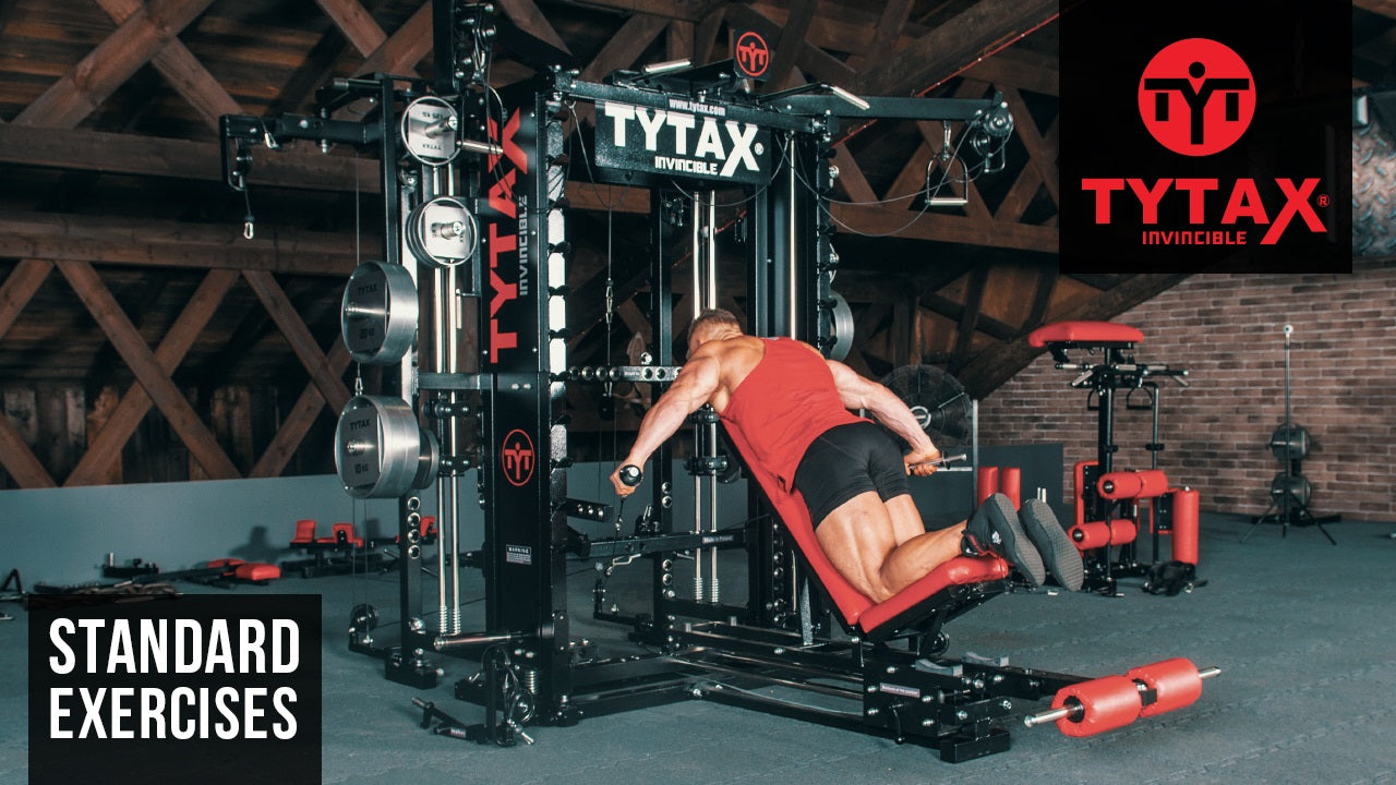 Cable Prone Reverse Fly