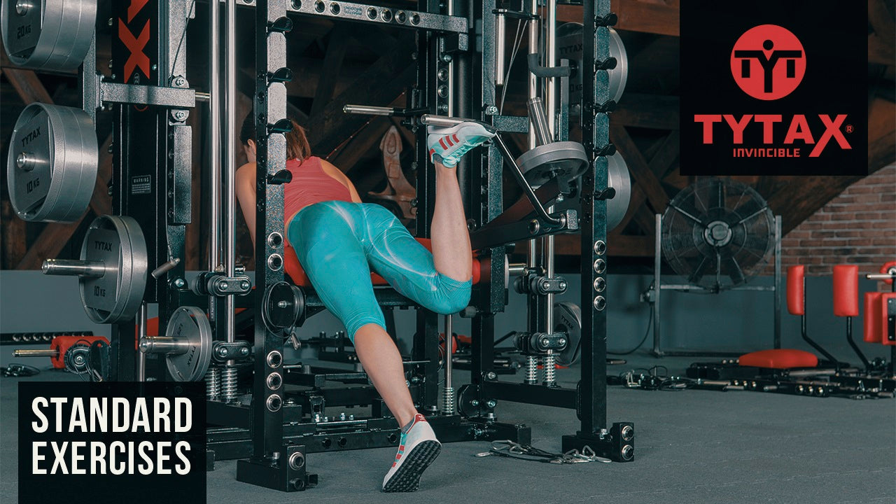 Prone Lever Single Leg Kickback