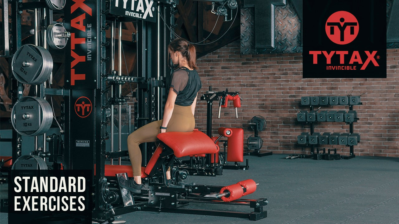 Seated Sled Calf Press