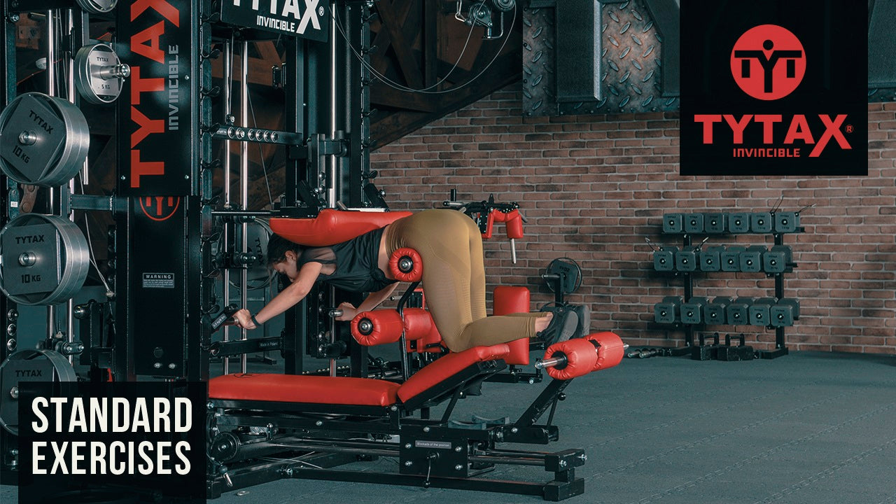 Smith Sled Back Extension