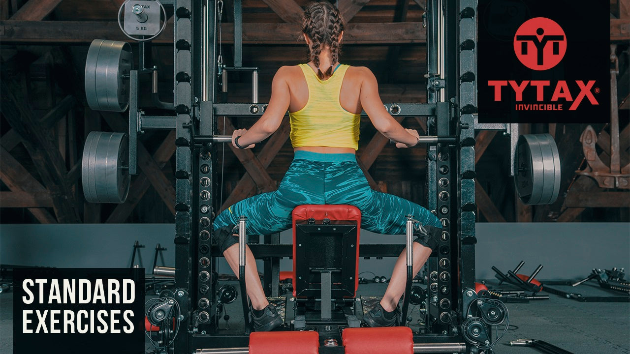 Seated Sled Cable Hip Adduction