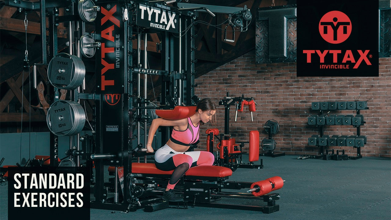 Seated Sled Half Back Extension