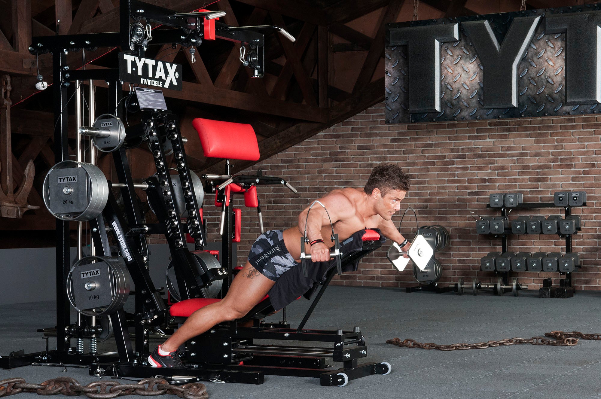 Reverse Fliegende mit Kurzhanteln