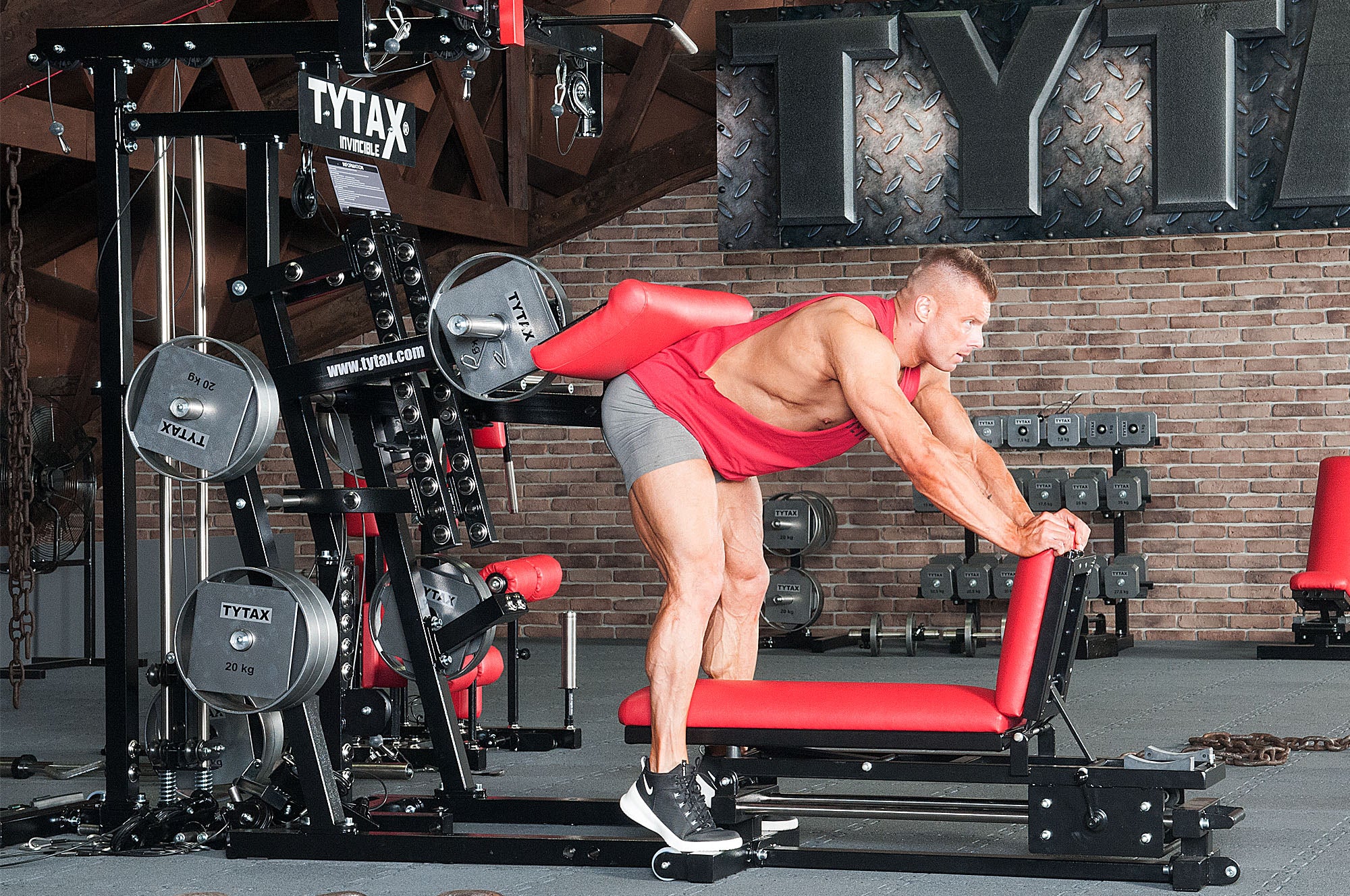 Donkey Wadenheben – Wadenheben stehend